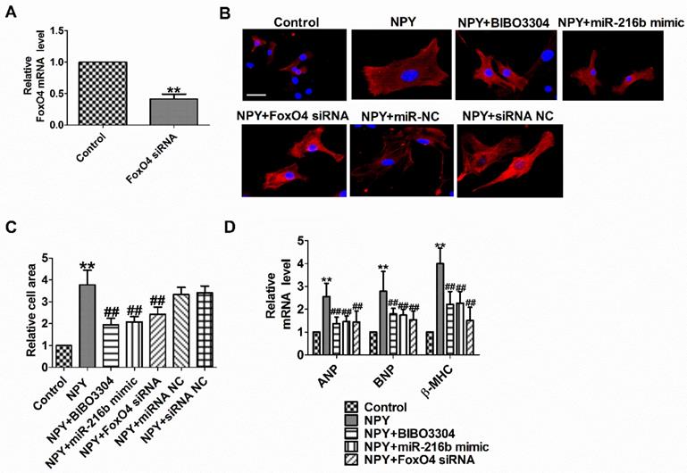 Int J Med Sci Image