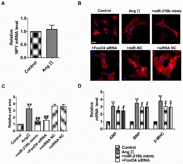 Int J Med Sci Image