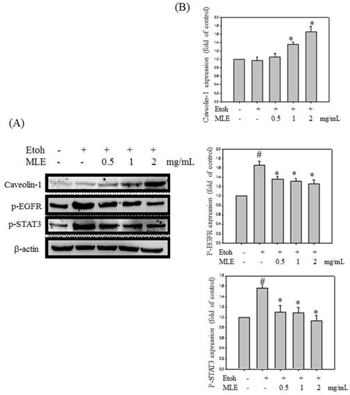 Int J Med Sci Image