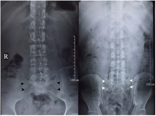 Int J Med Sci Image