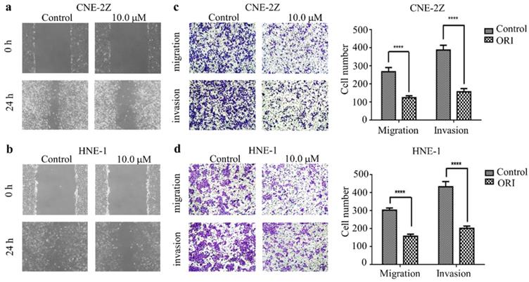 Int J Med Sci Image