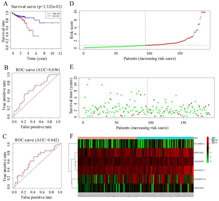 Int J Med Sci Image