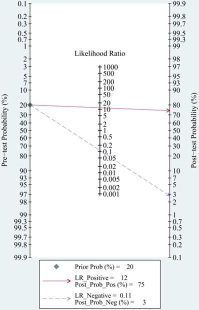 Int J Med Sci Image