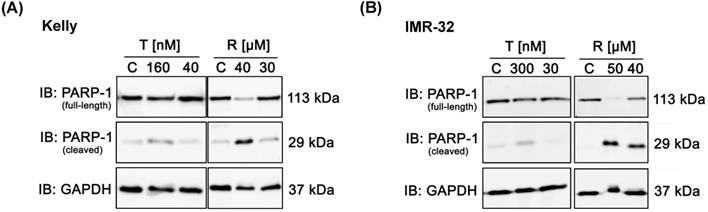 Int J Med Sci Image