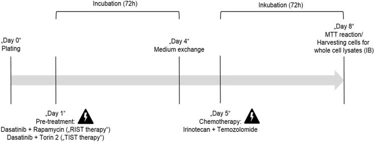 Int J Med Sci Image