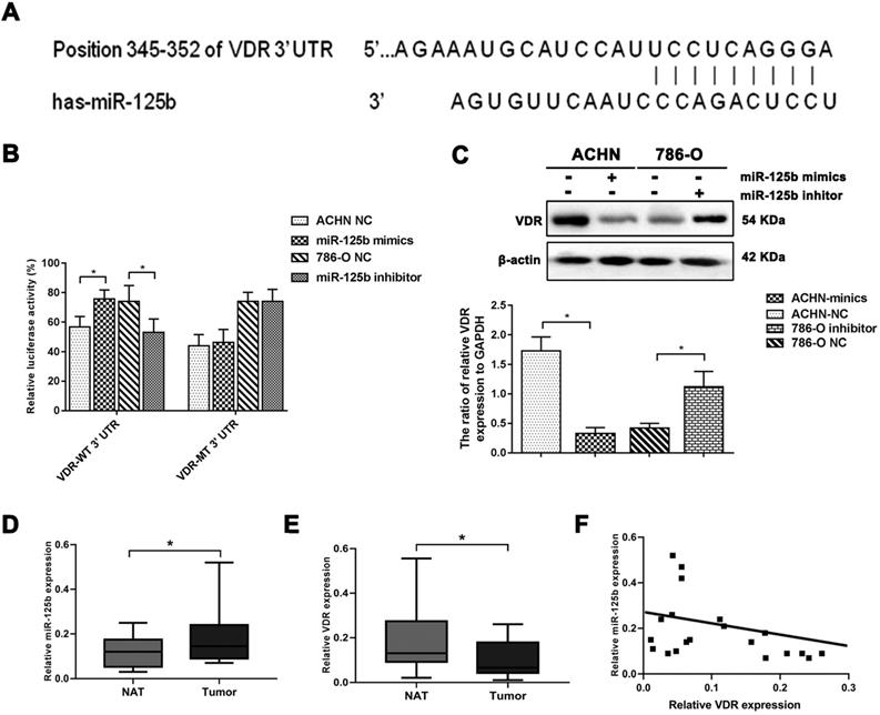 Int J Med Sci Image