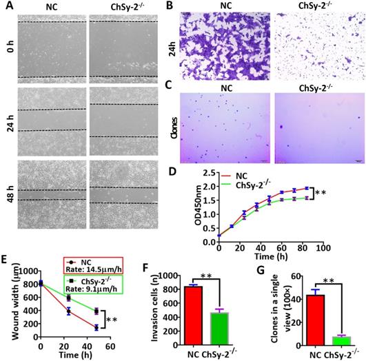 Int J Med Sci Image