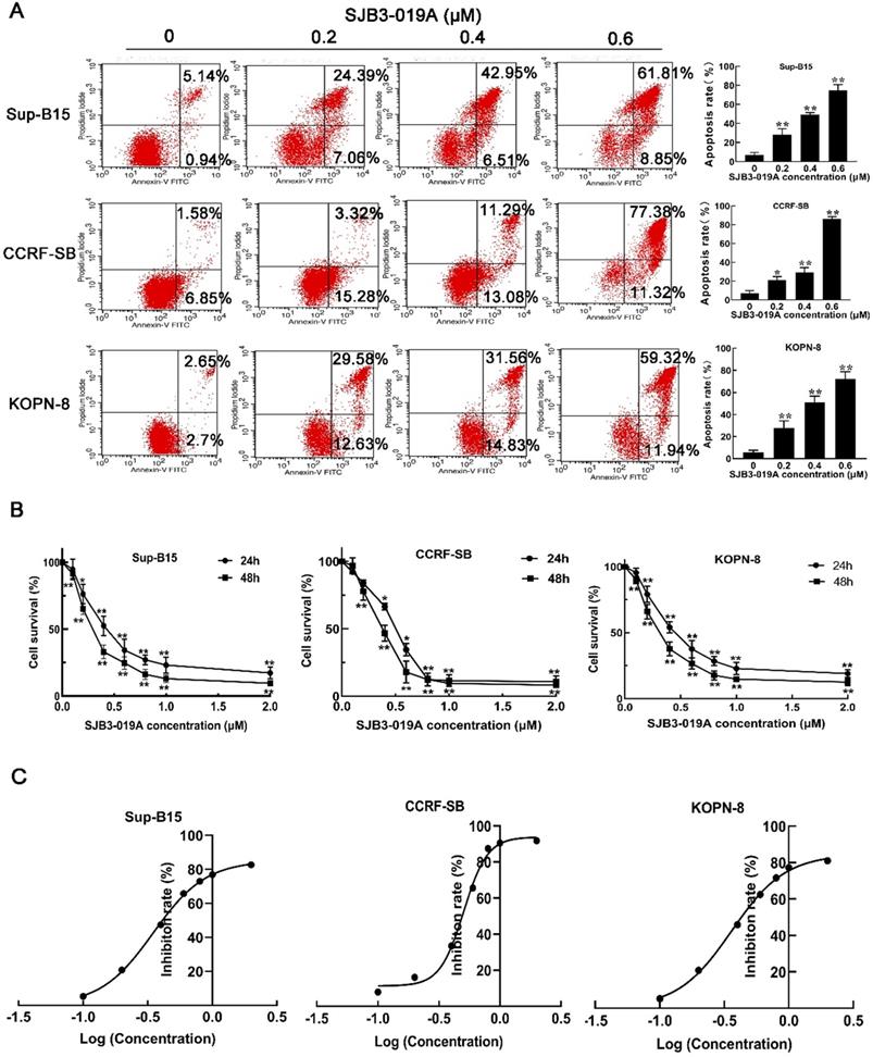 Int J Med Sci Image