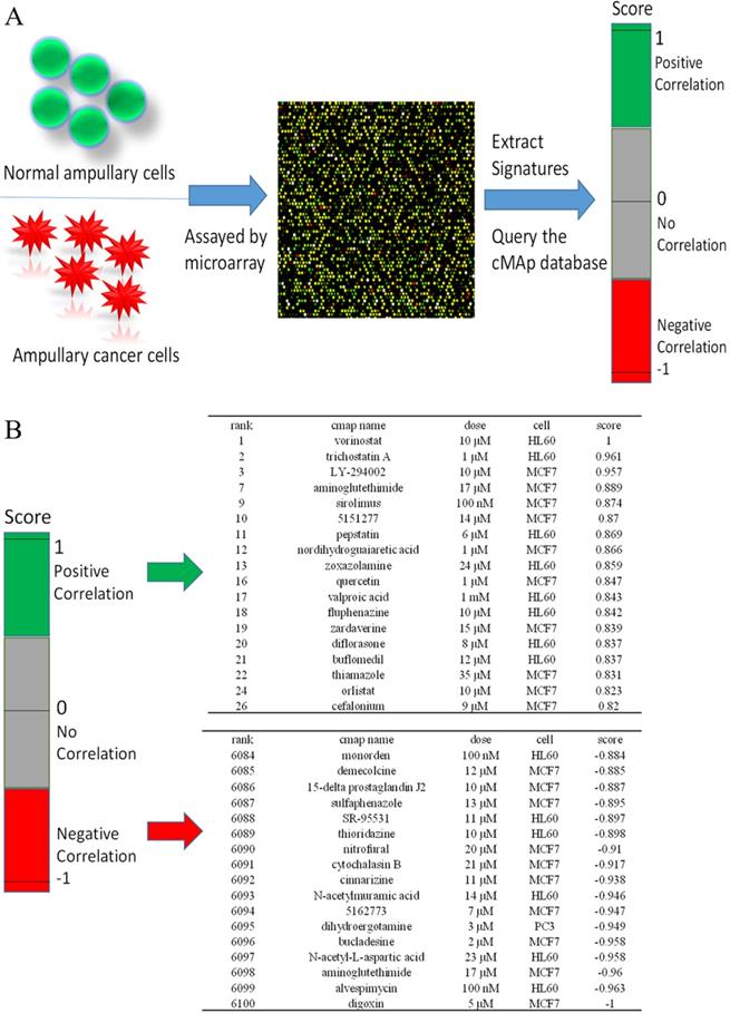 Int J Med Sci Image