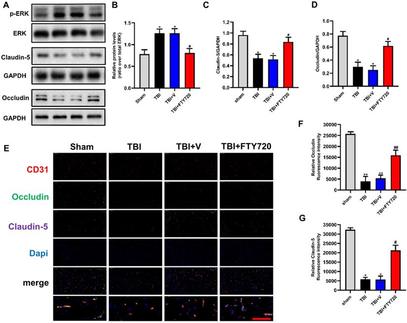 Int J Med Sci Image