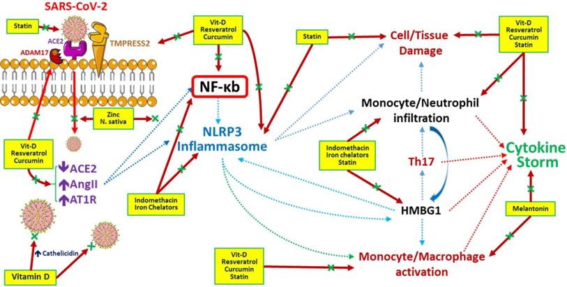 Int J Med Sci Image