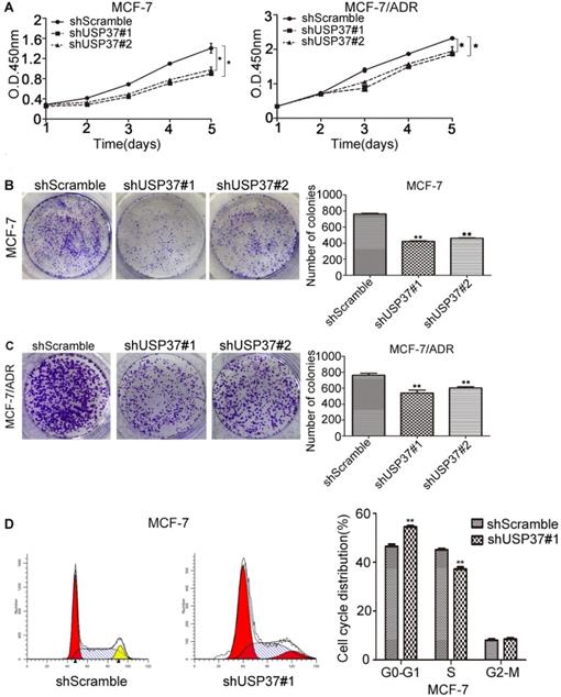 Int J Med Sci Image