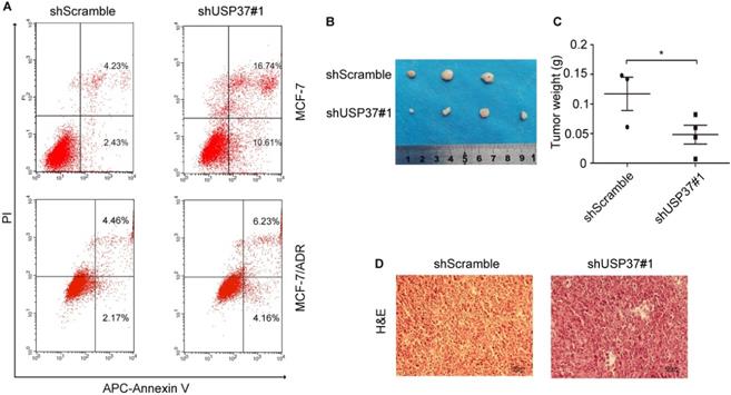 Int J Med Sci Image