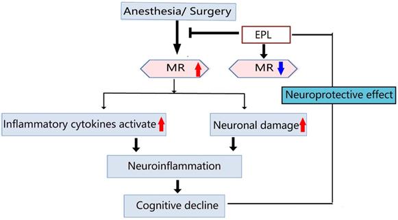 Int J Med Sci Image