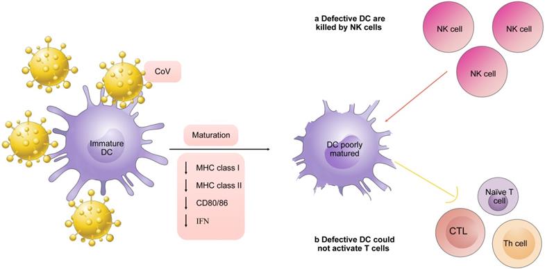 Int J Med Sci Image