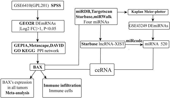 Int J Med Sci Image