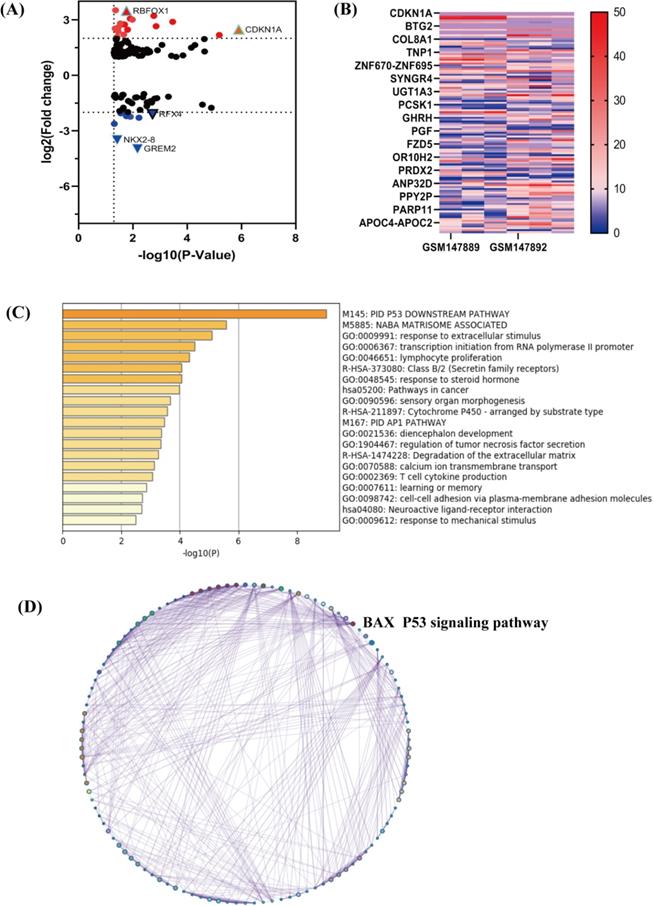 Int J Med Sci Image