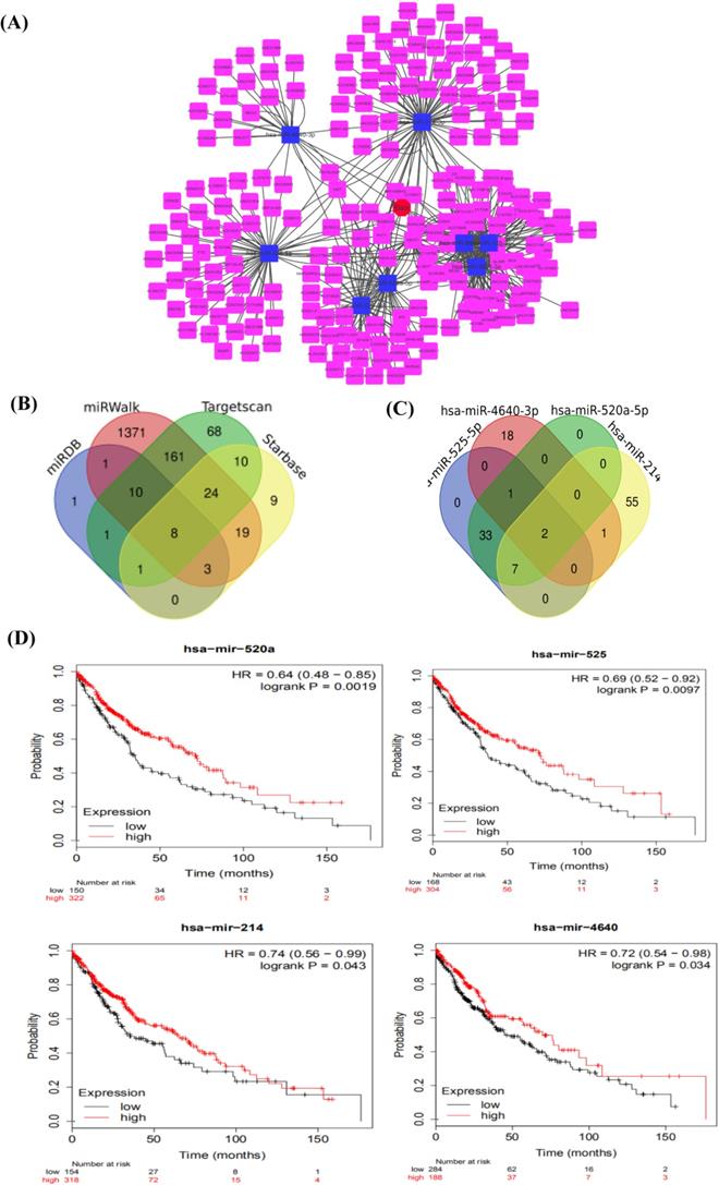 Int J Med Sci Image