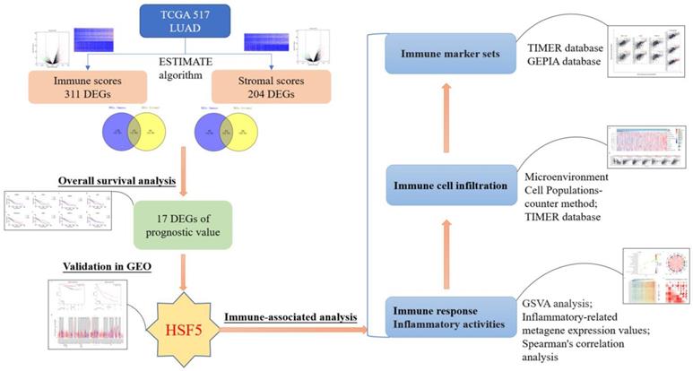 Int J Med Sci Image