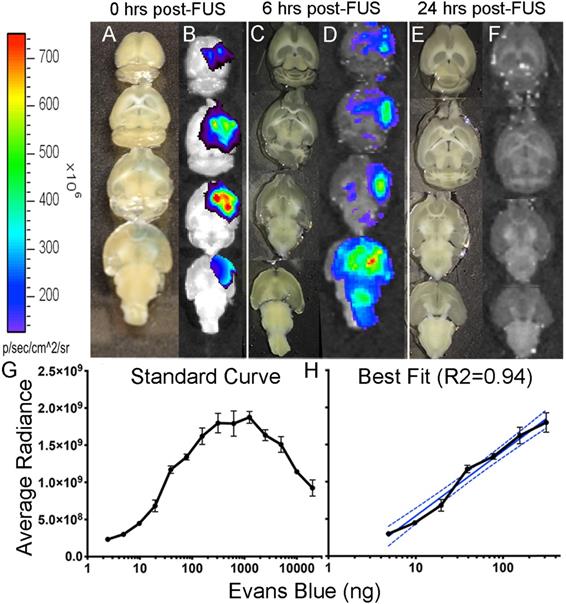 Int J Med Sci Image