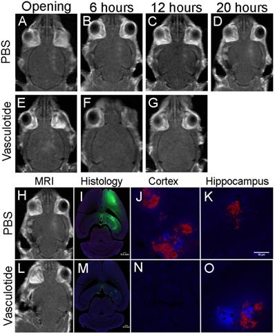 Int J Med Sci Image