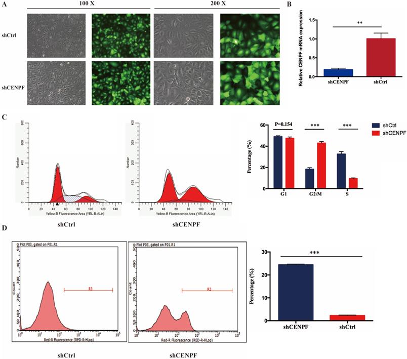 Int J Med Sci Image