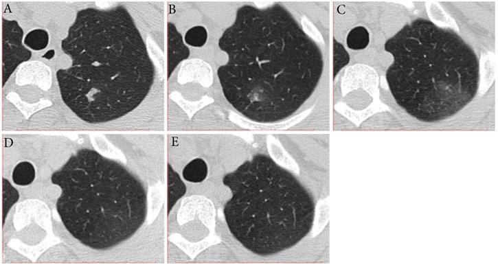 Int J Med Sci Image