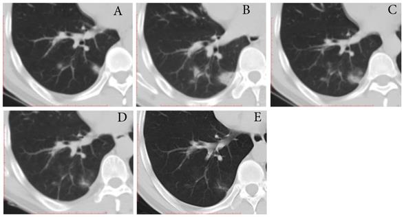 Int J Med Sci Image