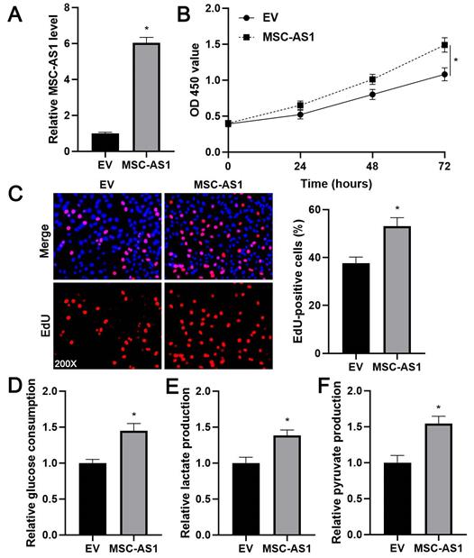 Int J Med Sci Image