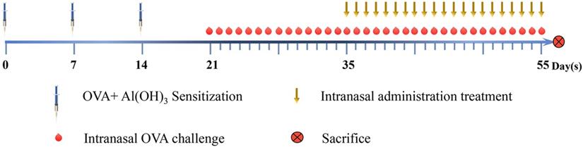 Int J Med Sci Image