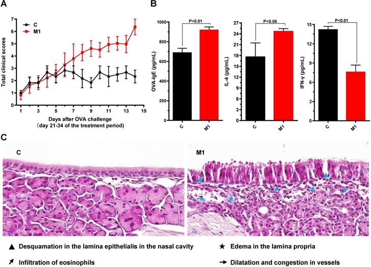 Int J Med Sci Image