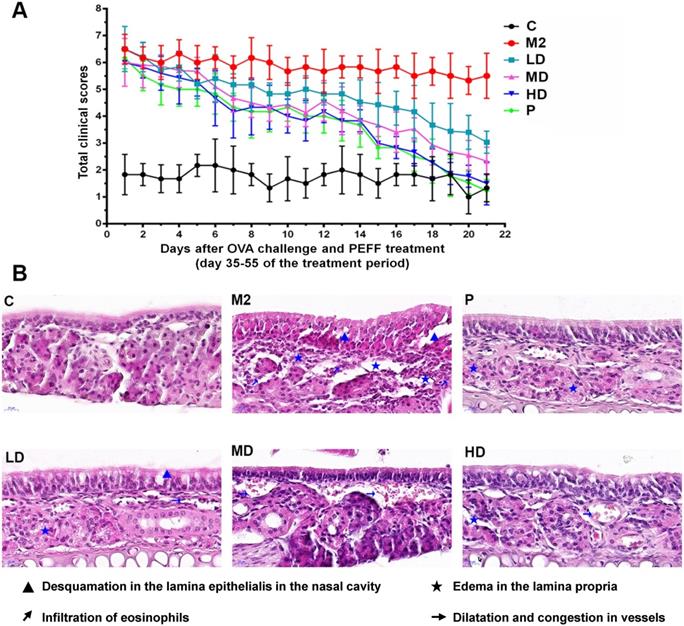 Int J Med Sci Image