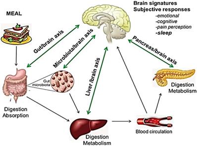 Int J Med Sci Image