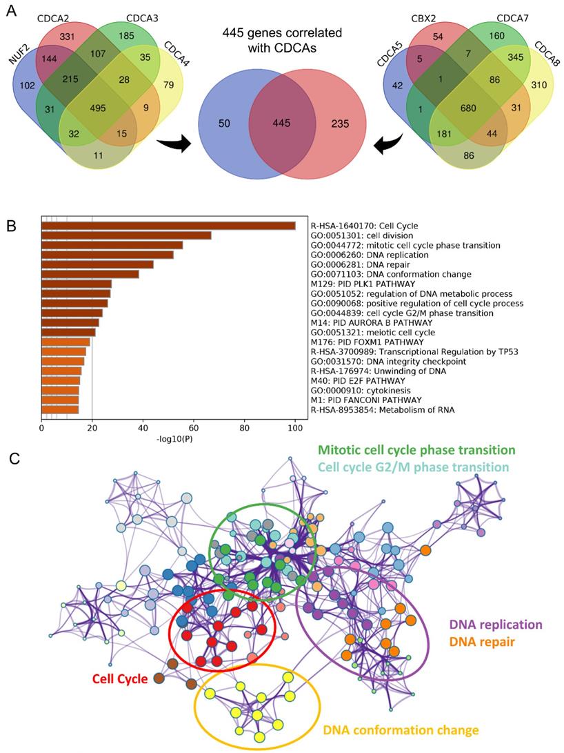 Int J Med Sci Image