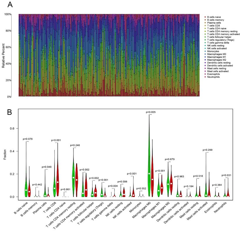 Int J Med Sci Image