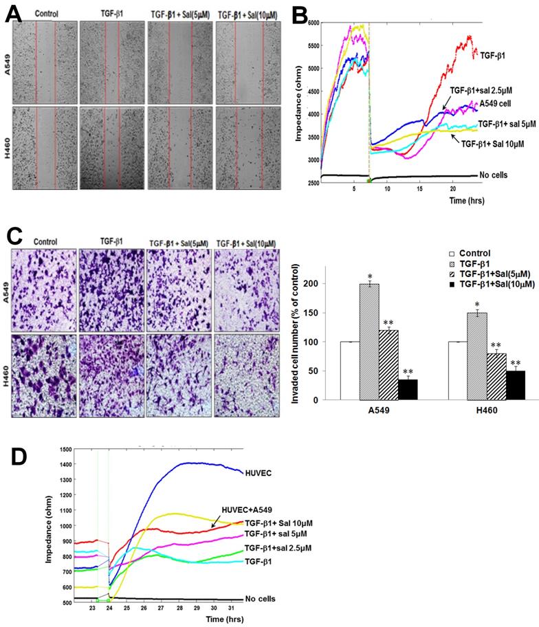 Int J Med Sci Image