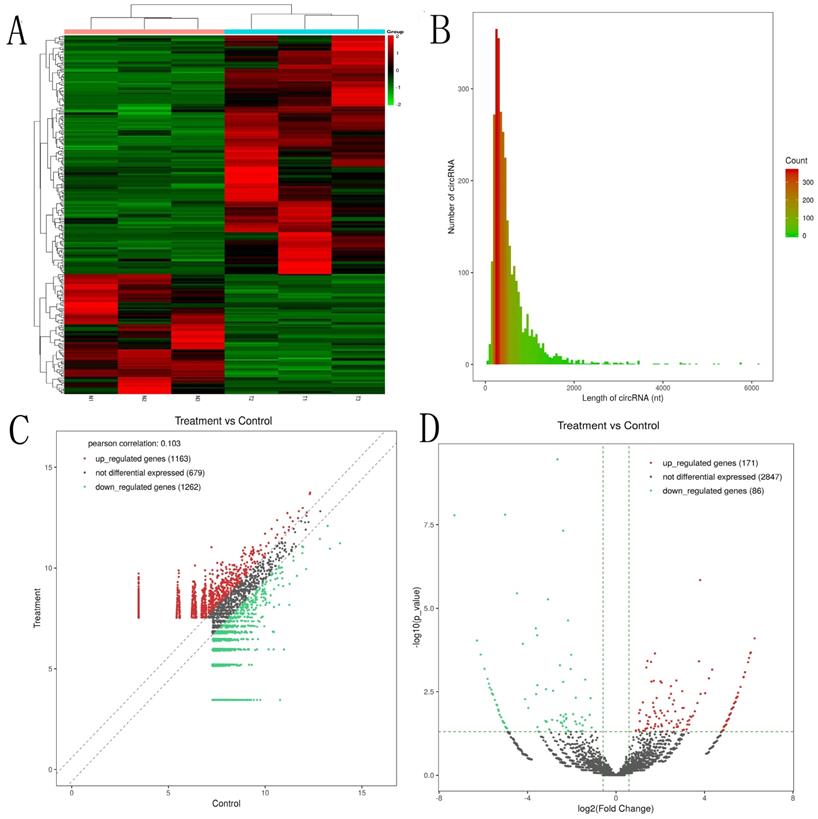 Int J Med Sci Image