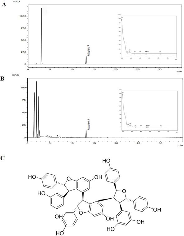 Int J Med Sci Image