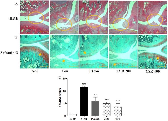 Int J Med Sci Image