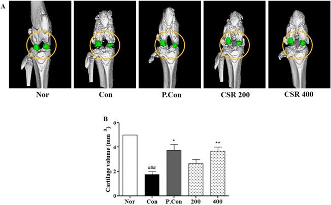 Int J Med Sci Image