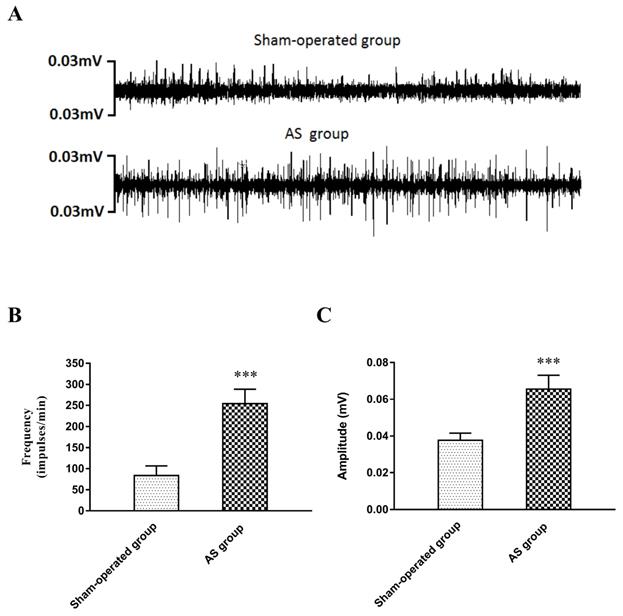 Int J Med Sci Image