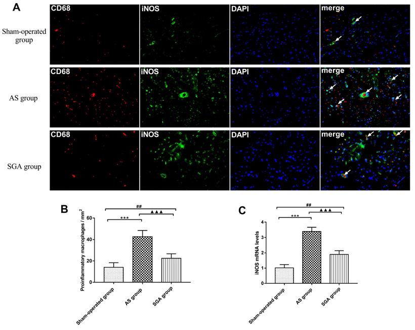 Int J Med Sci Image