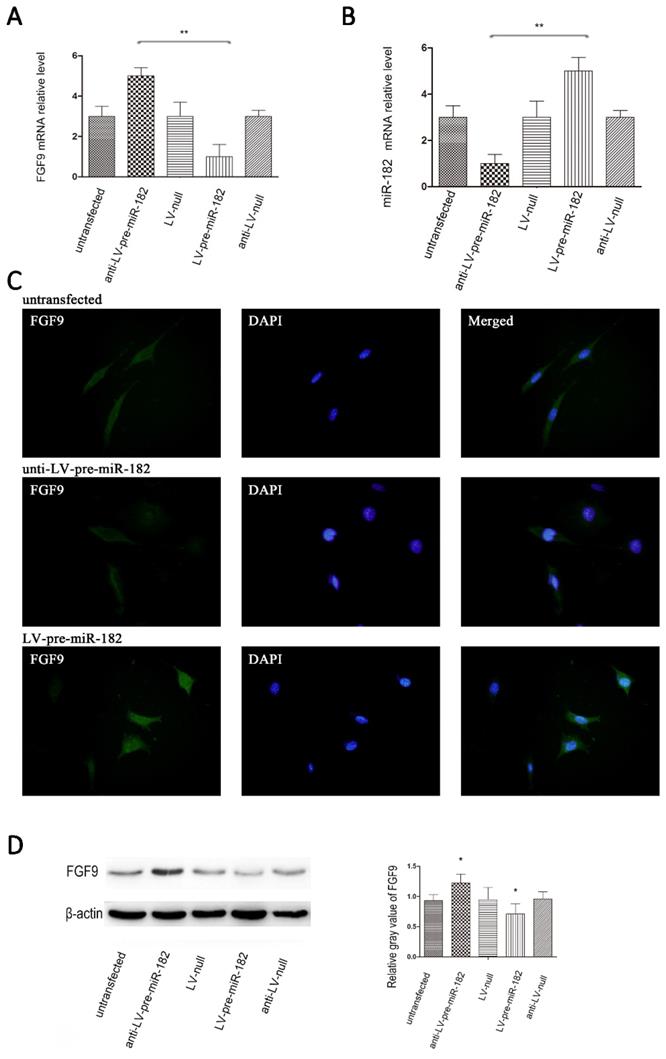 Int J Med Sci Image