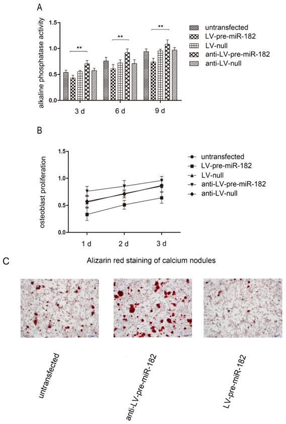 Int J Med Sci Image