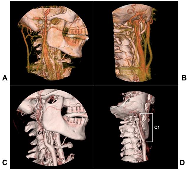 Int J Med Sci Image