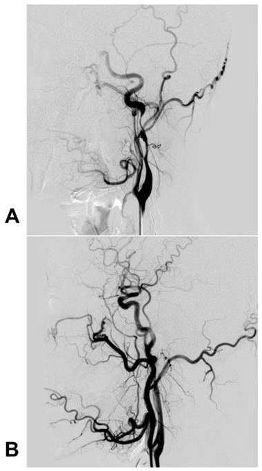 Int J Med Sci Image