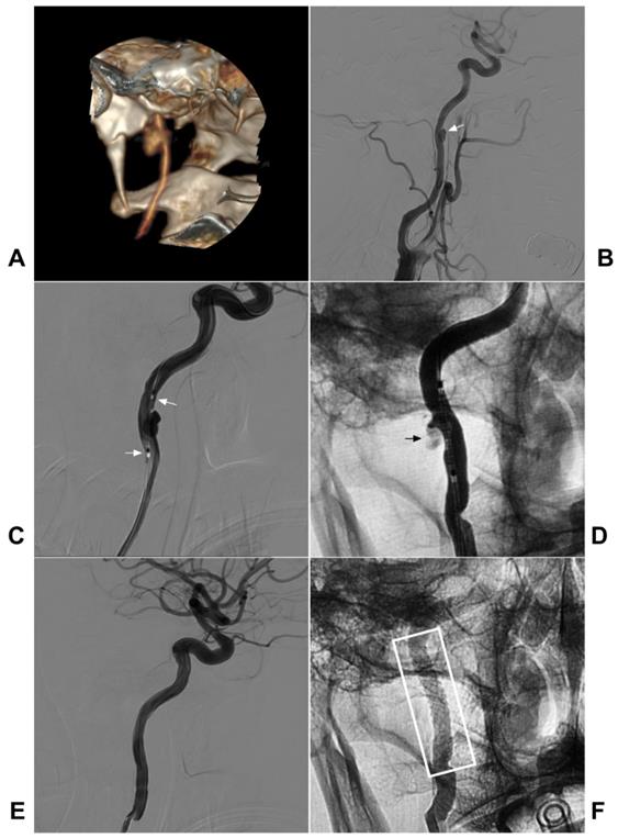 Int J Med Sci Image