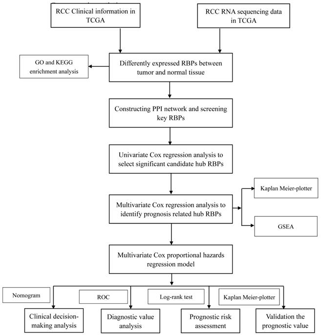 Int J Med Sci Image