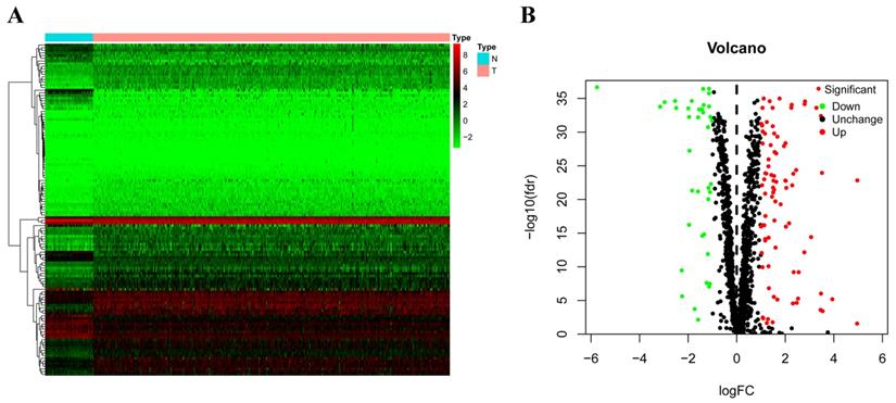 Int J Med Sci Image