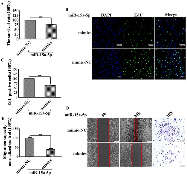 Int J Med Sci Image